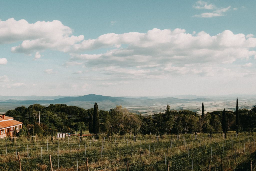 Under the Tuscan Sun – Urlaub auf einem Weingut in der Toskana